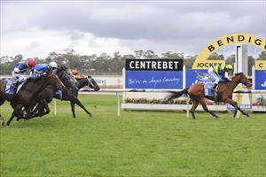 Piccolo Miss an all the way winner at Bendigo Piccolo Miss an all the way winner at Bendigo